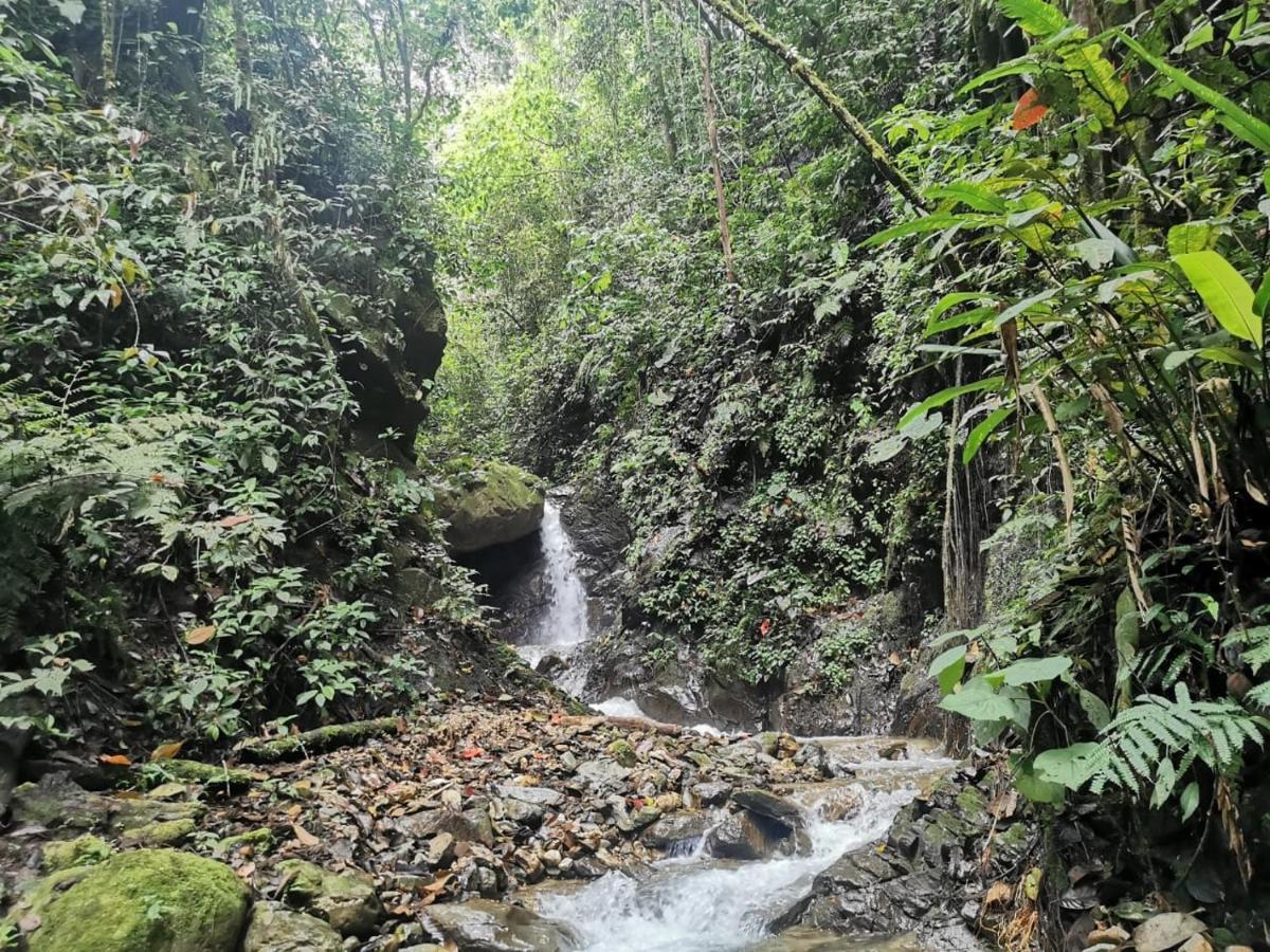 Finca Tradicional El Otono Casa de hóspedes Pijao Exterior foto