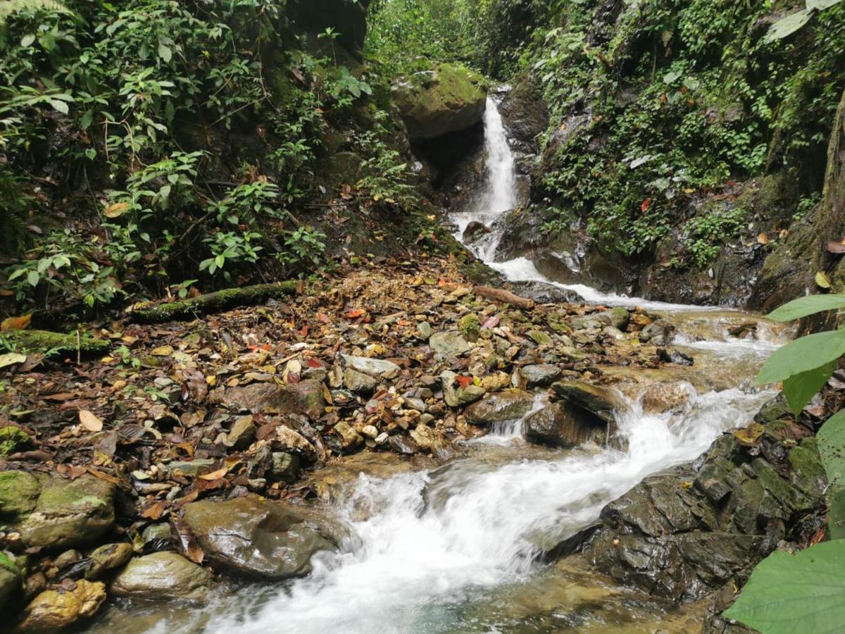 Finca Tradicional El Otono Casa de hóspedes Pijao Exterior foto