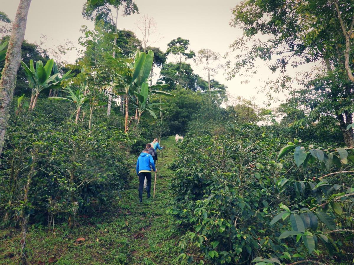 Finca Tradicional El Otono Casa de hóspedes Pijao Exterior foto