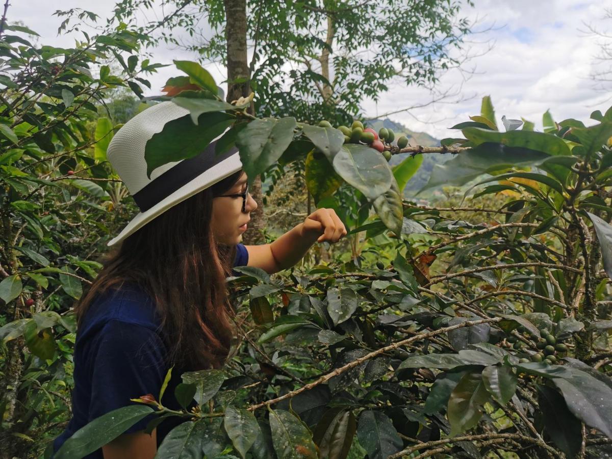 Finca Tradicional El Otono Casa de hóspedes Pijao Exterior foto