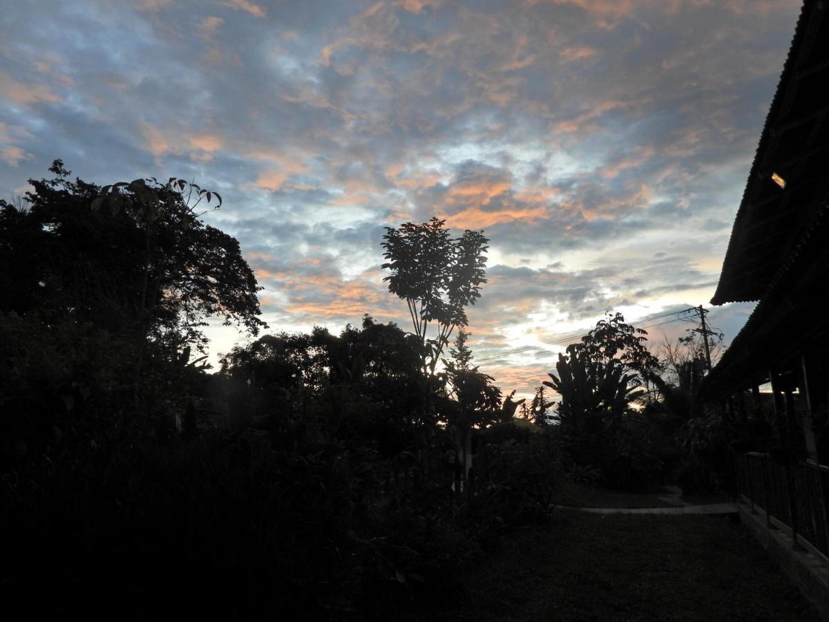 Finca Tradicional El Otono Casa de hóspedes Pijao Exterior foto