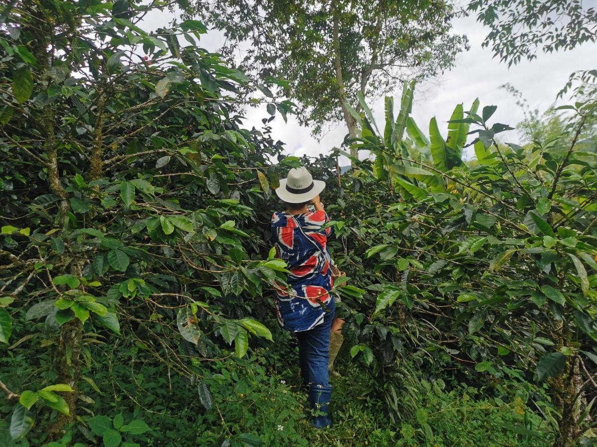 Finca Tradicional El Otono Casa de hóspedes Pijao Exterior foto